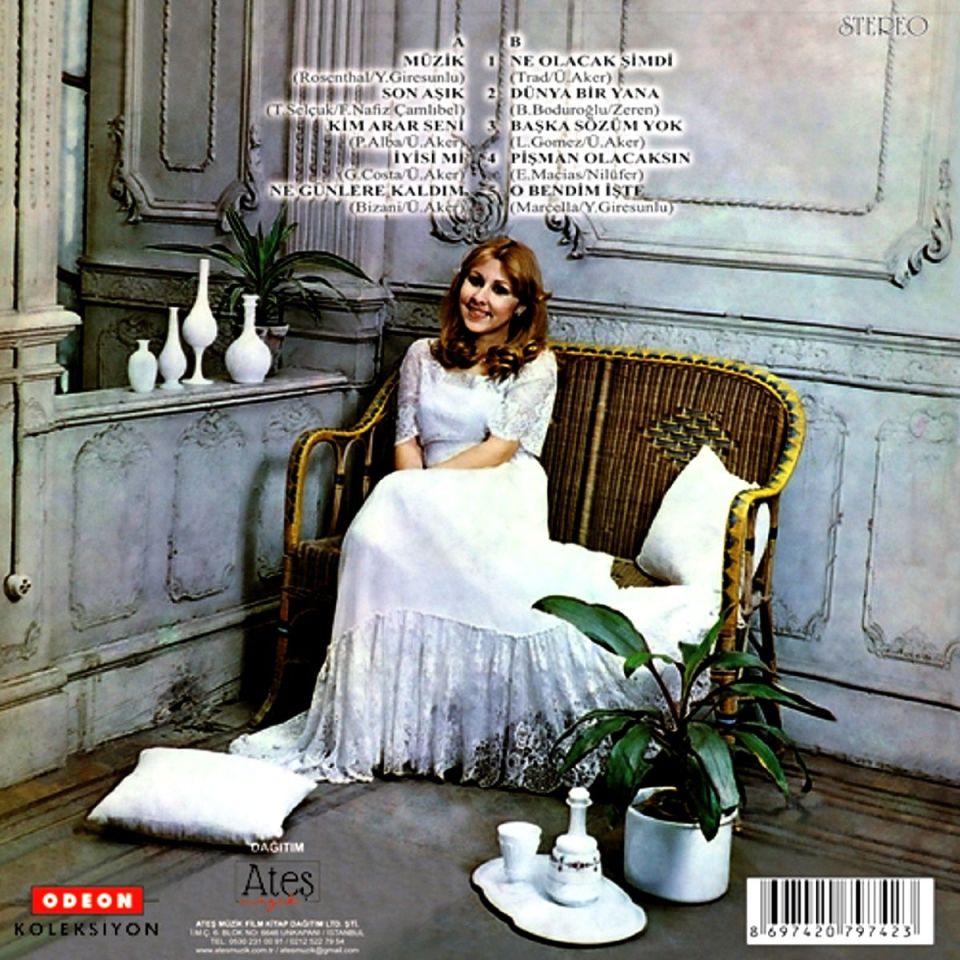 NİLÜFER - MÜZİK (LP)