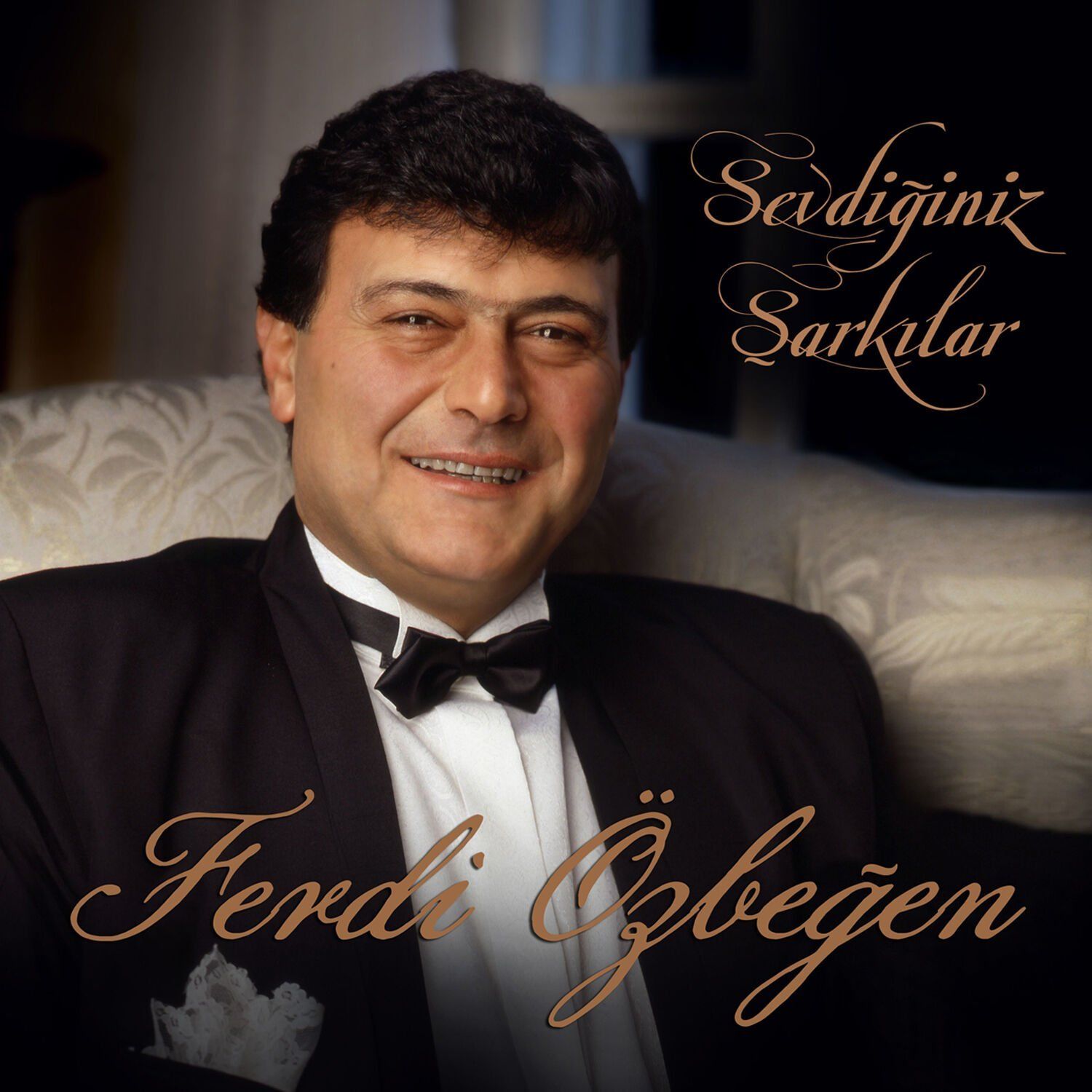 FERDİ ÖZBEĞEN - SEVDİĞİNİZ ŞARKILAR (LP)