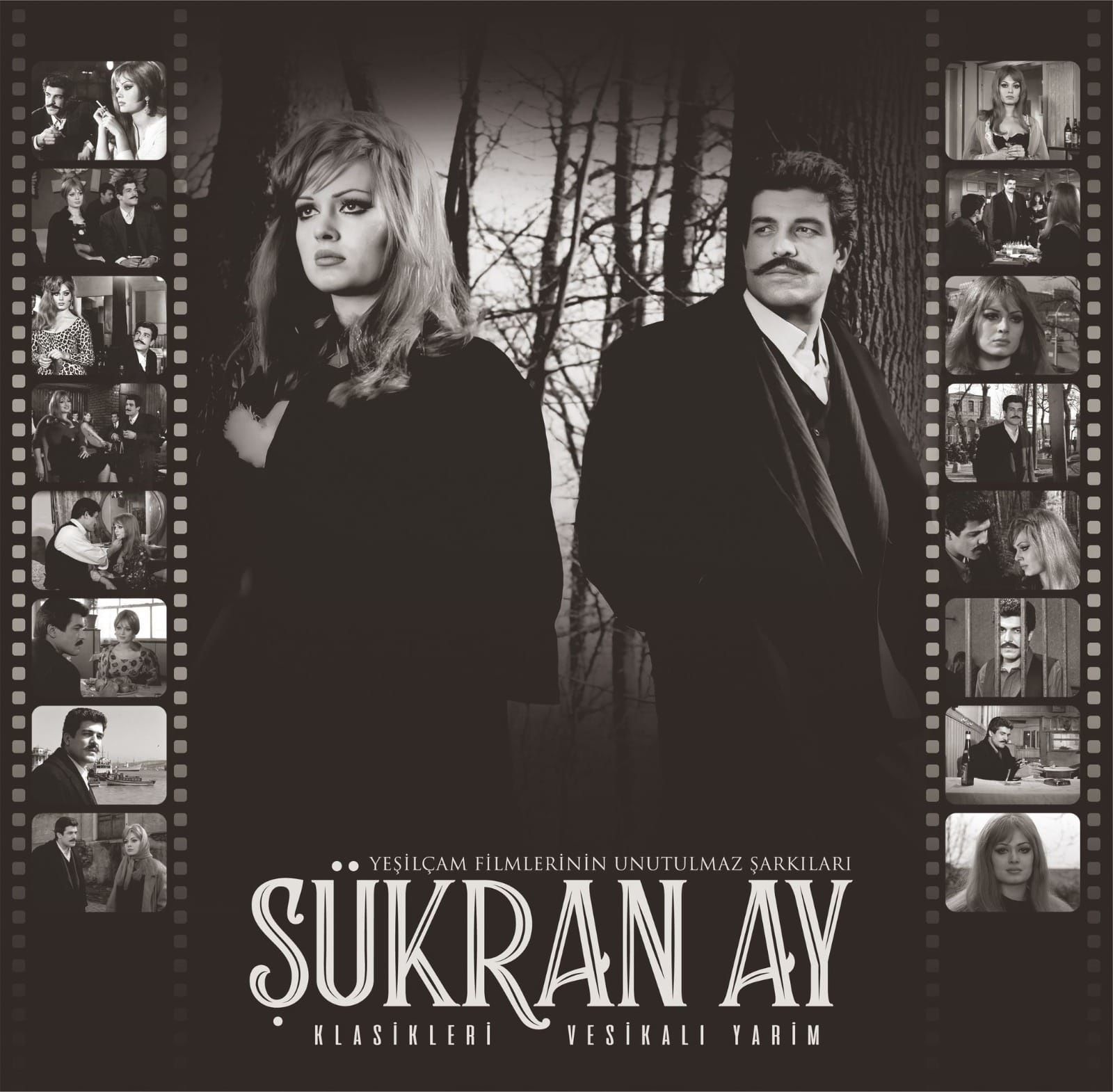 ŞÜKRAN AY - KLASİKLERİ (VESİKALI YARİM) (LP)