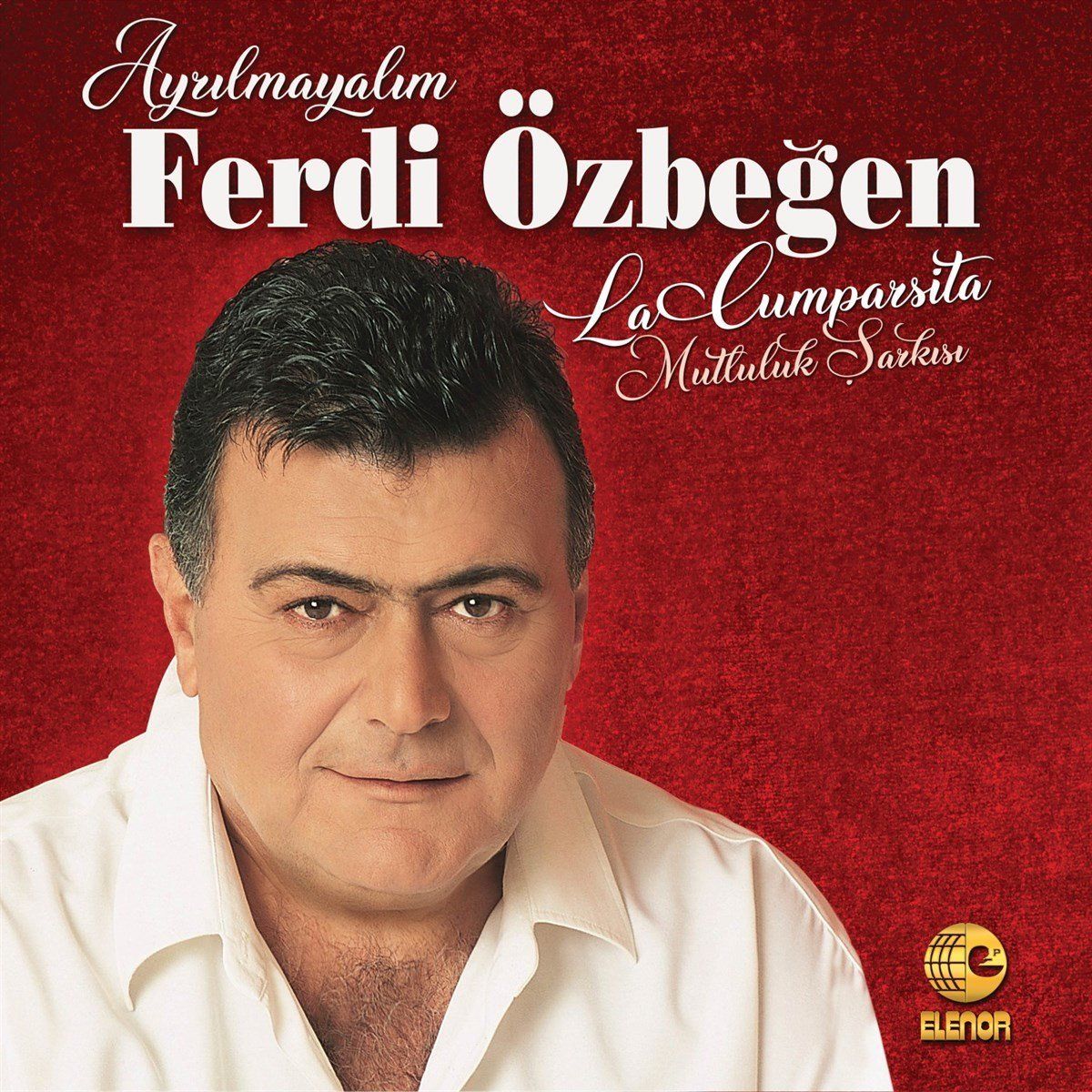 FERDİ ÖZBEĞEN - AYRILMAYALIM (LP)