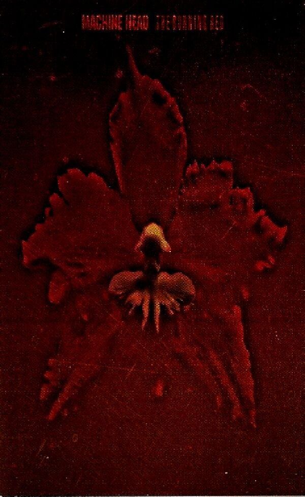 MACHINE HEAD - THE BURNING RED (MC)