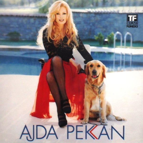 HARRY BELAFONTE - LOVING YOU IS WHERE I BELONG