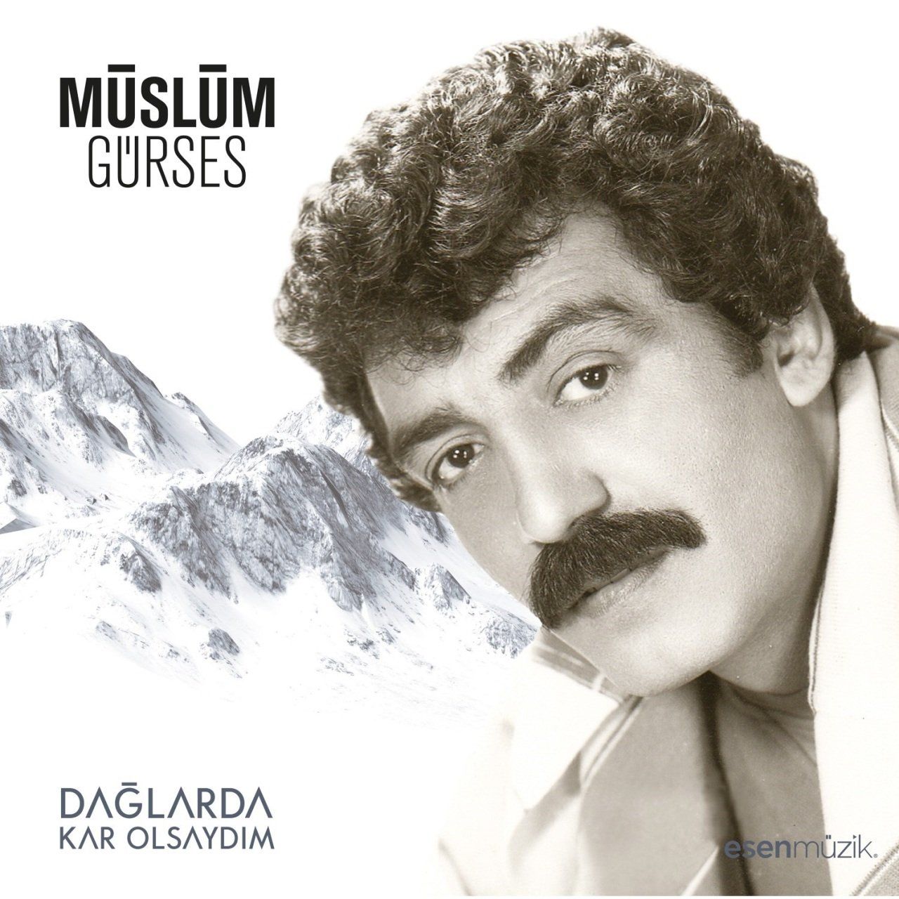 MÜSLÜM GÜRSES - DAĞLARDA KAR OLSAYDIM (LP)