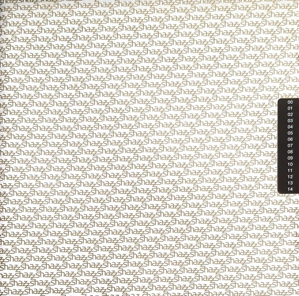 SHAZZ - SHAZZ (CD) (1998)