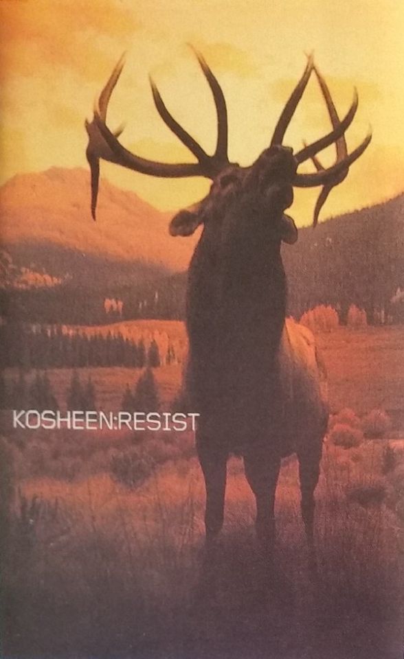 KOSHEEN - RESIST (MC)