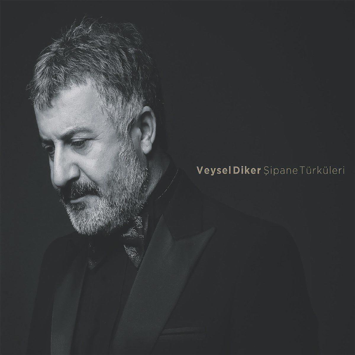 VEYSEL DİKER - ŞİPANE TÜRKÜLERİ