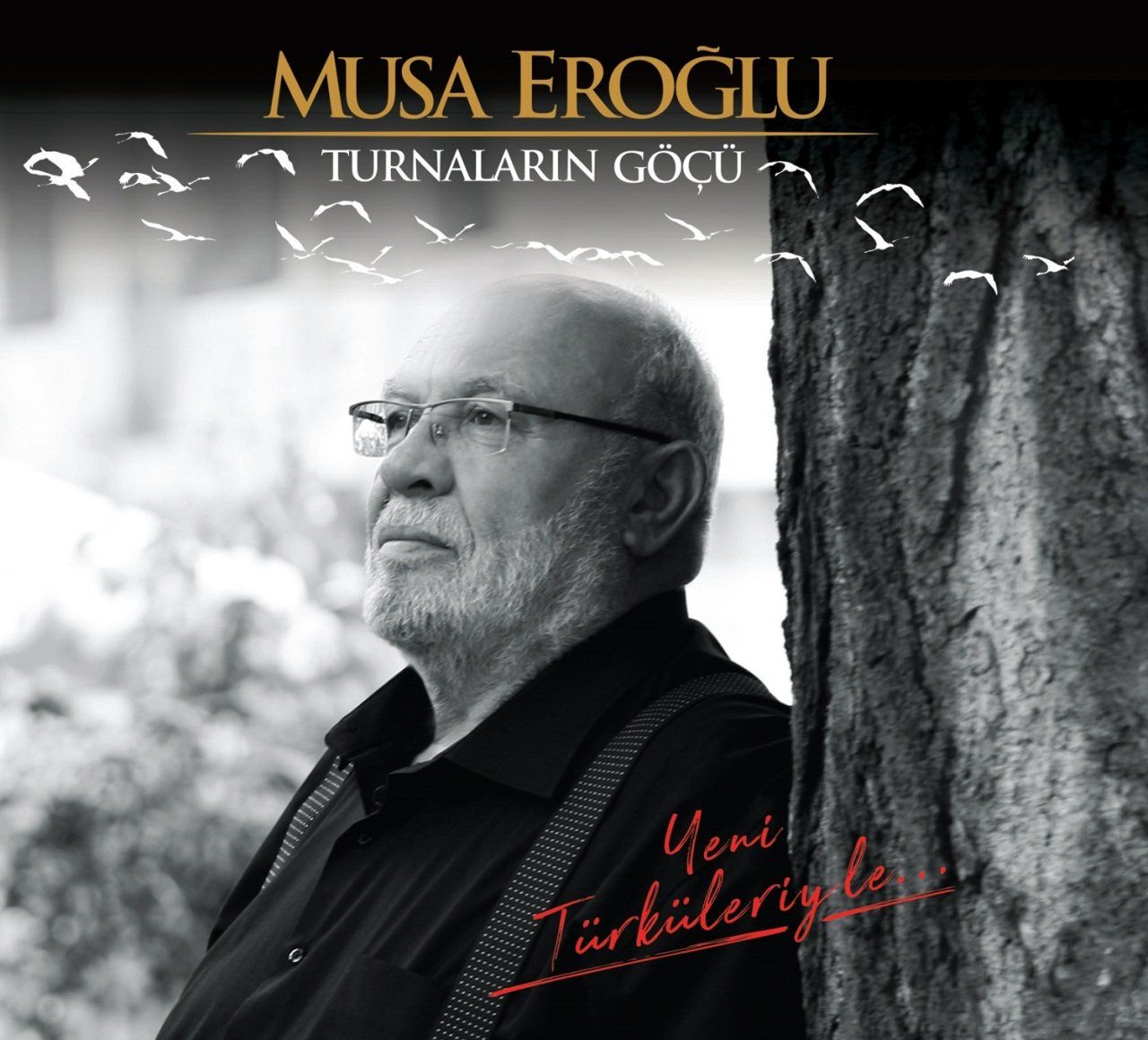 MUSA EROĞLU - TURNALARIN GÖÇÜ