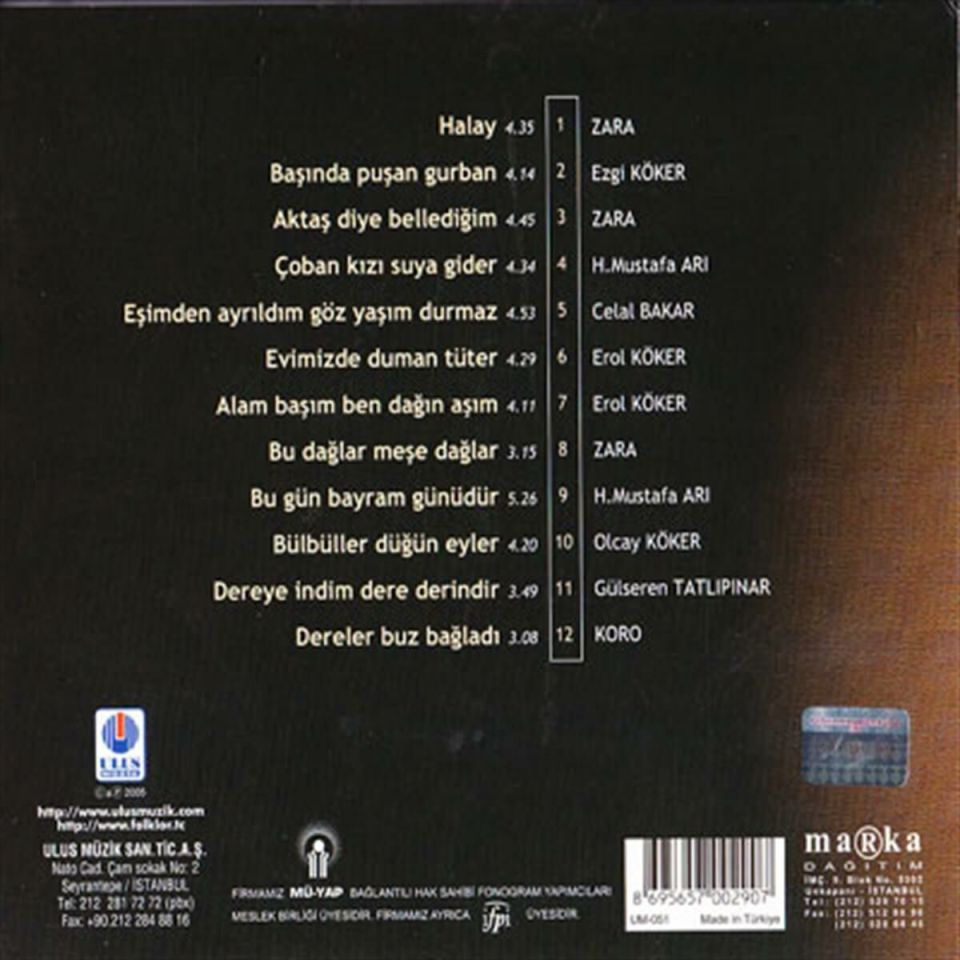 TÜRKÜLERLE TÜRKİYE (TÜRKİYE WITH FOLK SONGS) 73 ŞIRNAK (CD)