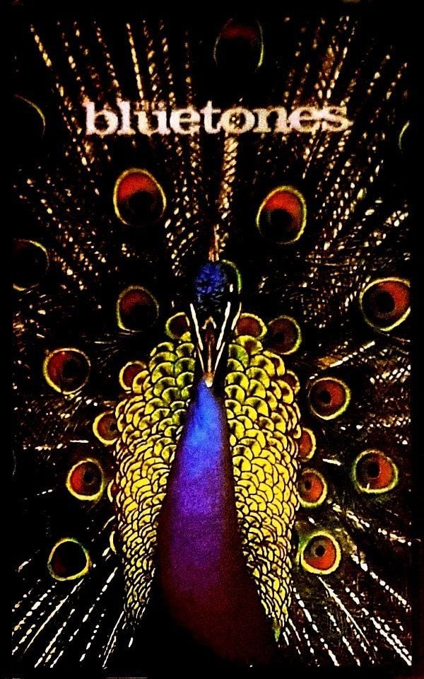 THE  BLUETONES - EXPECTING TO FLY (MC)