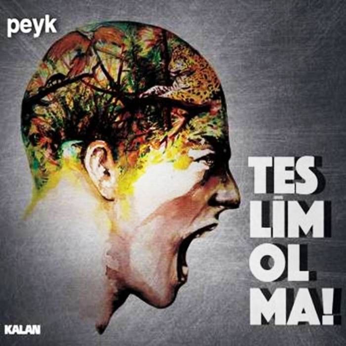 PEYK - TESLiM OLMA