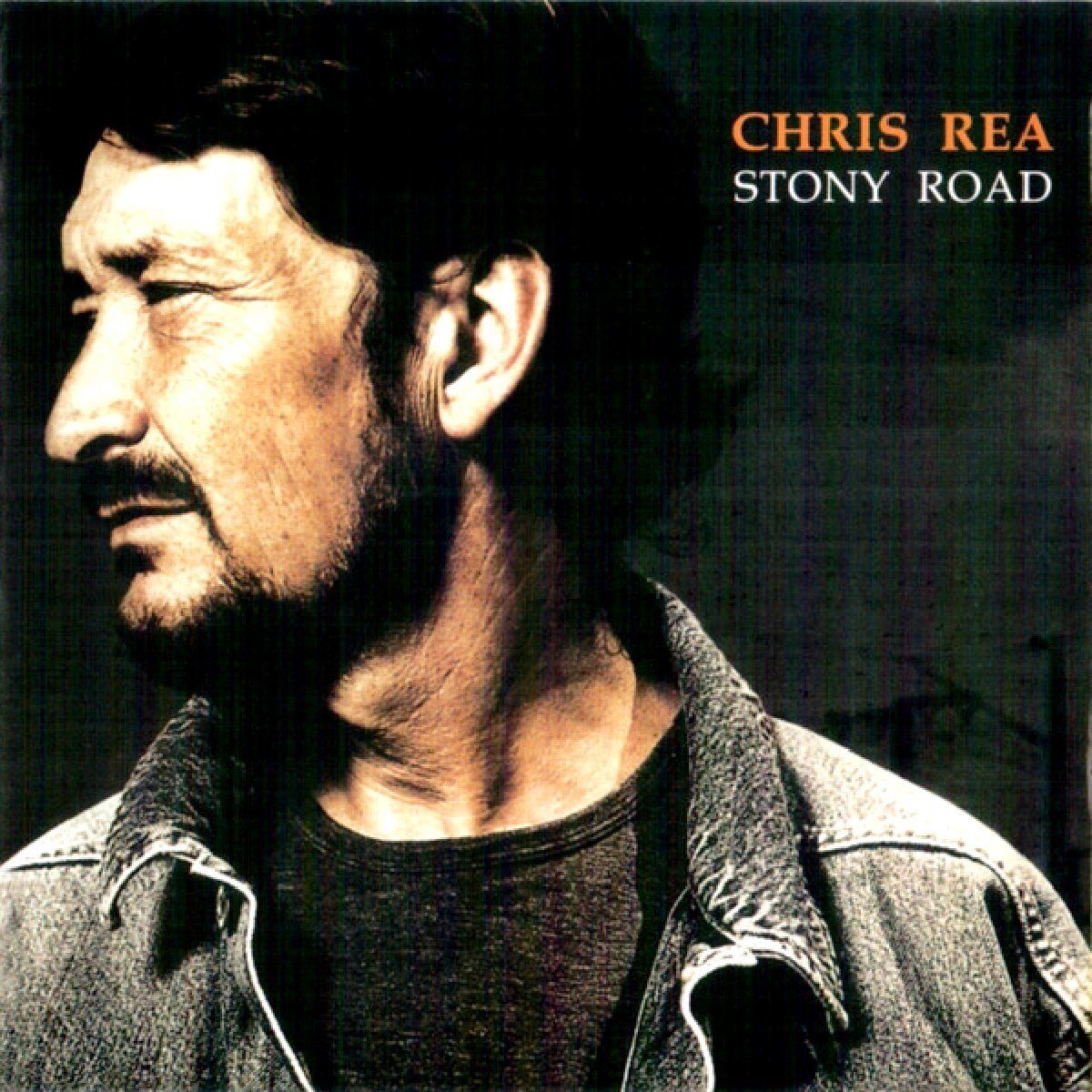CHRIS REA - STONY ROAD (CD) (2002)