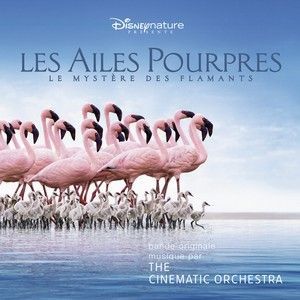 THE CINEMATIC ORCHESTRA - THE CRIMSON WING-MYSTERY O
