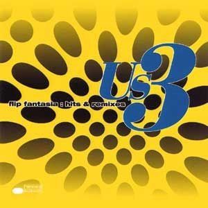 US 3 - FLIP FANTASIA : HITS & REM