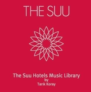 VARIOUS ARTISTS - THE SUU