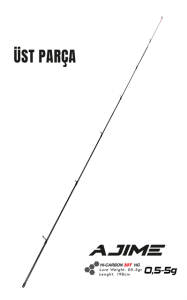 Fujin Ajime 198cm 05-5gr LRF Kamışı #1 Üst Parça