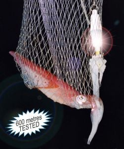 STONFO Işıklı Kalamar Yemi