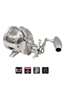 Accurate Tern 2 500 Narrow Lefty Star Drag Slow P.