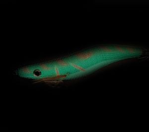 Captain 3029 Kalamar Zokası 12cm Crazy Glow Deri Kaplama Size 3.5