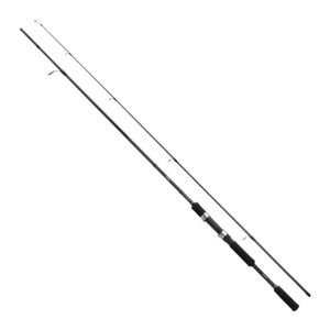 Shimano FX XT 240M 10-30 Gr Spin Kamışı