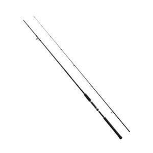 Shimano Salty Advance Spinning 3,05m 10'0'' Plug 80g Jig 100g 2pc Olta Kamışı