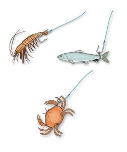 STONFO Plastik Yem Bandı ART 135