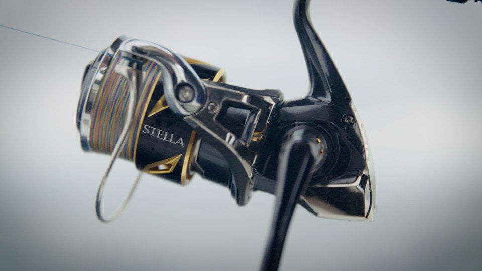 Shimano Stella SW 6000XG C