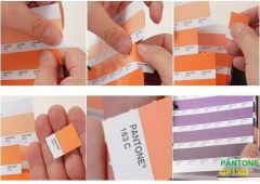 PANTONE SOLID CHIPS - Coated and Uncoated + 336 New Colors-GP1303XR