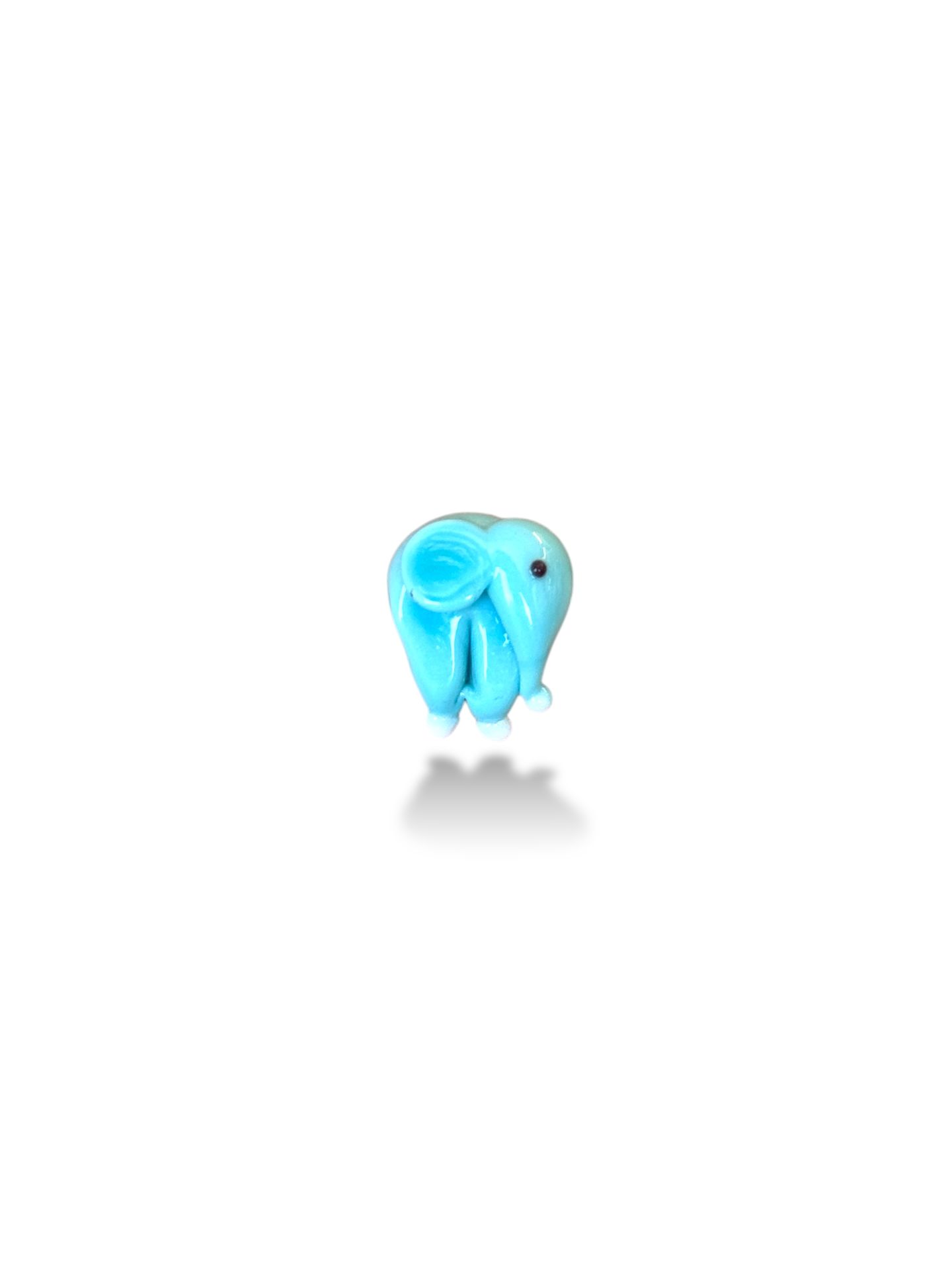 Fil Murano Cam