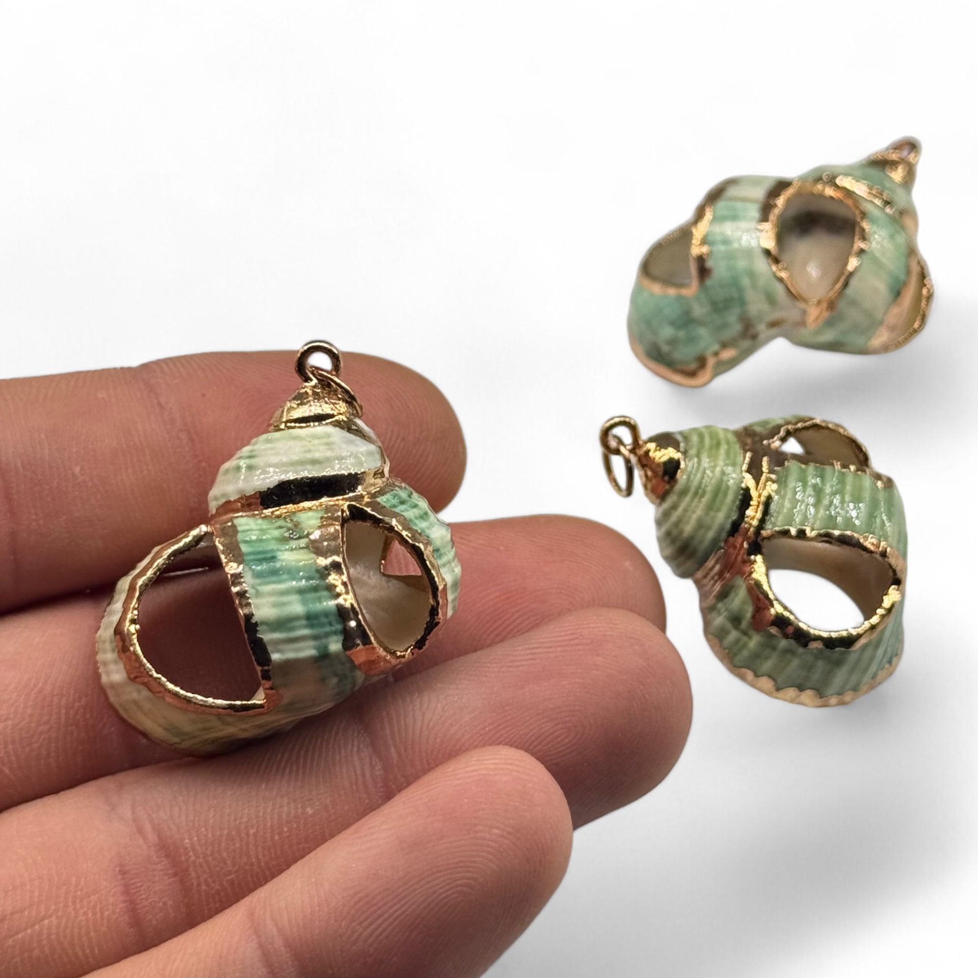 Deniz Kabuğu Charm