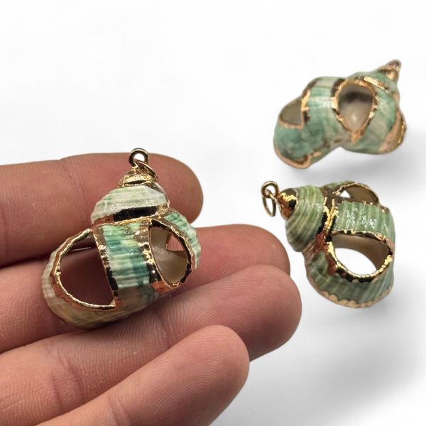 Deniz Kabuğu Charm