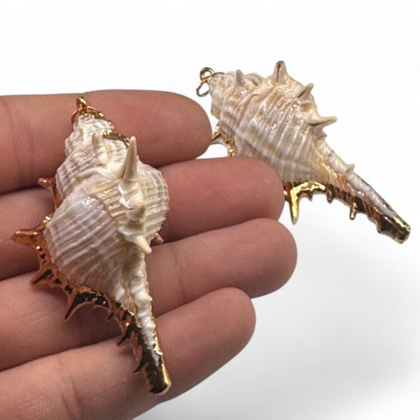 Deniz Kabuğu Charm