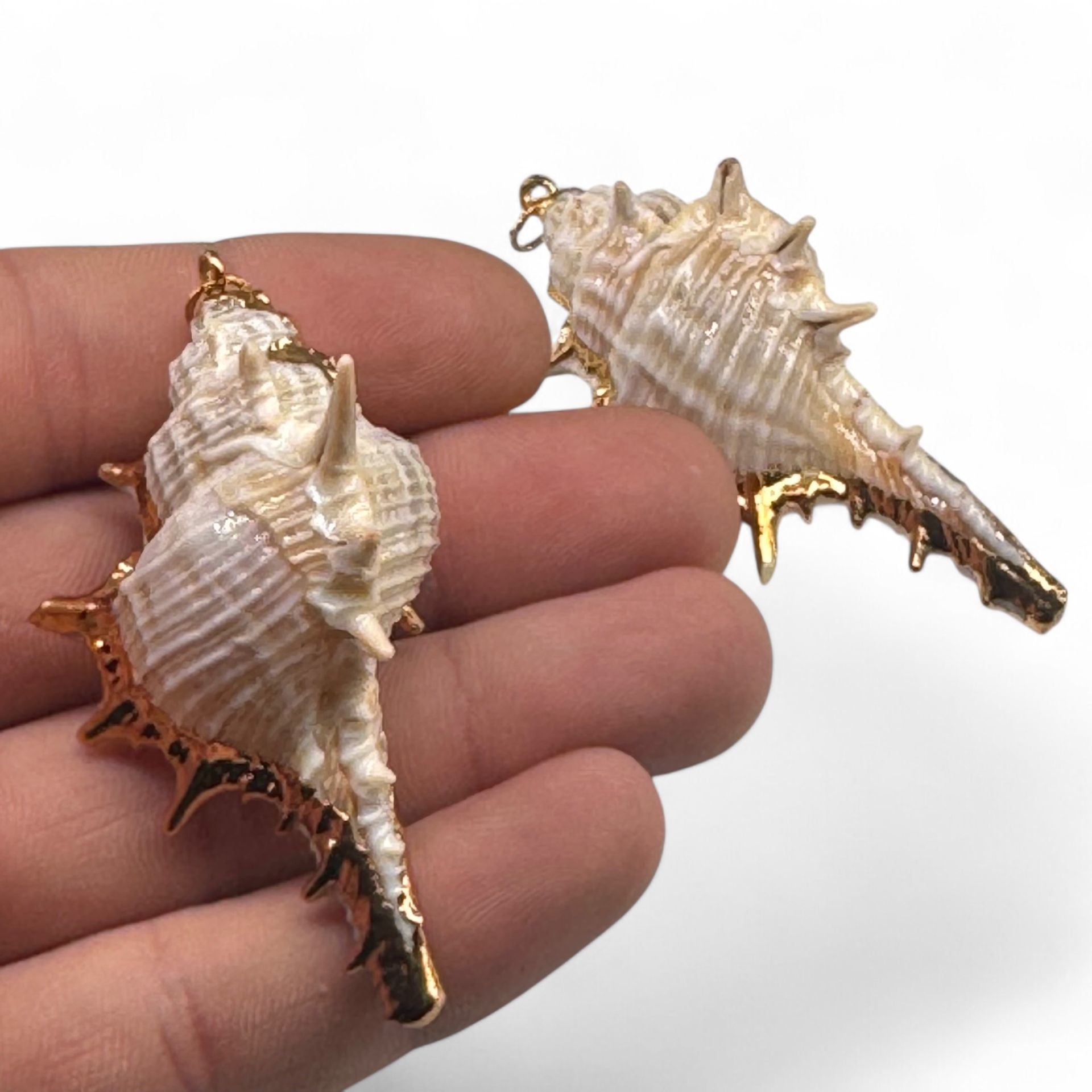 Deniz Kabuğu Charm
