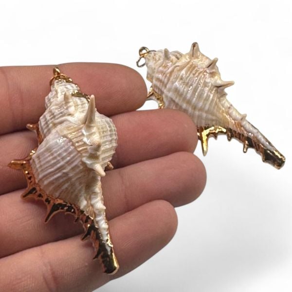 Deniz Kabuğu Charm