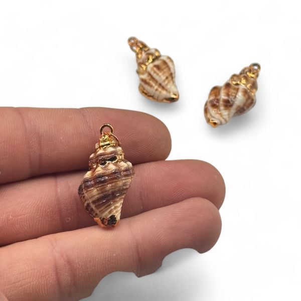 Deniz Kabuğu Charm