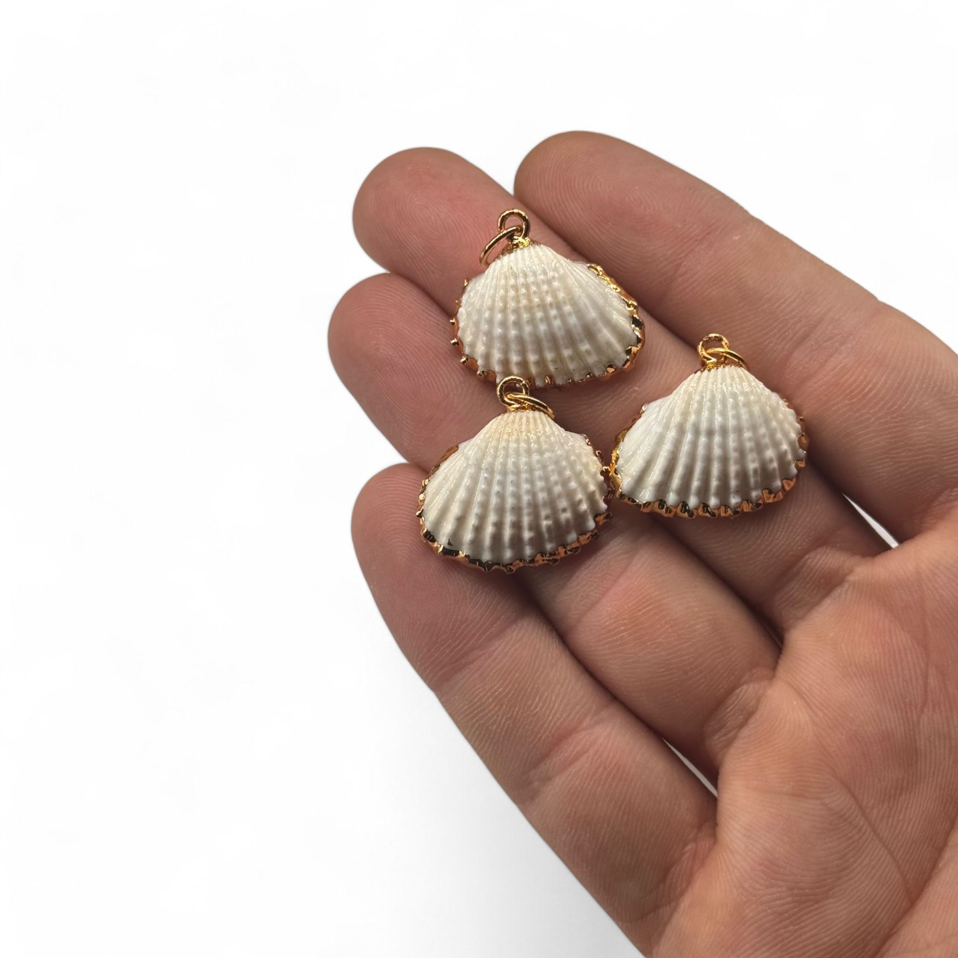 Deniz Kabuğu Charm