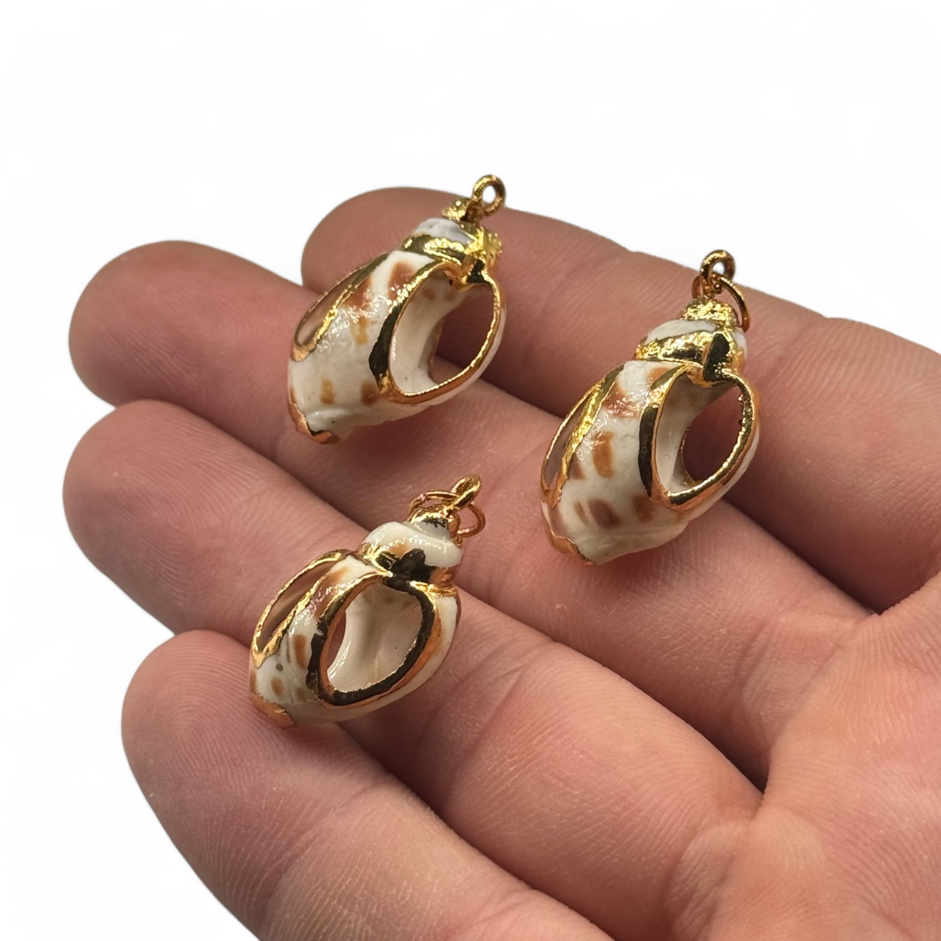 Deniz Kabuğu Charm