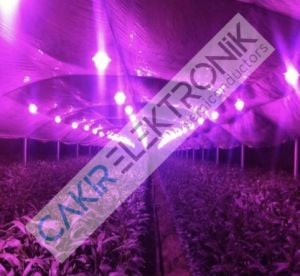 50W 220V A/C COB GROW LED ( 400-840nm) BİTKİ YETİŞTİRME LEDİ FULL SPECTRUM LED