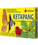 Tropical Ketapang Katappa Yaprağı 30gr