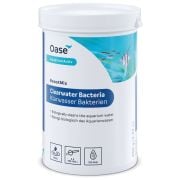 Oase Clearwater Boost Mix Bacteria 250gr.
