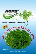 Hops Bitki Tohumu Micranthemun Monte Carlo