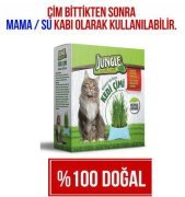 Jungle Kedi Çimi Tohumu + Toprağı ( Kemirgen Çimi ) 2adet