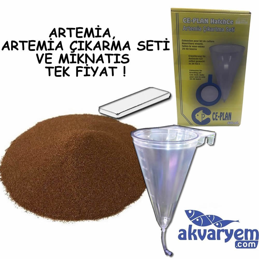 Sep-Art 4 in 1 Artemia Set KARGO BİZDEN