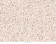 Natures Ocean - Samoa Pink Aragonite Live Sand #1 Canlı Kum 9,07KG