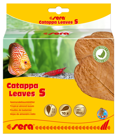 Sera Catappa Leaves 14cm S 1adet (Açık)
