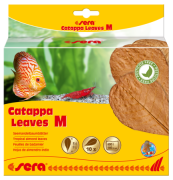 Sera Catappa Leaves 18cm M 10adet