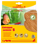 Sera Catappa Leaves 14cm S 10adet