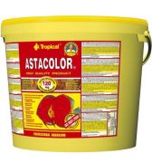 Tropical Astacolor 50gr(Açık)