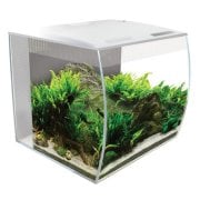 Fluval Flex Akvaryum 57lt Beyaz (İzmir İstanbul Elden Teslim)