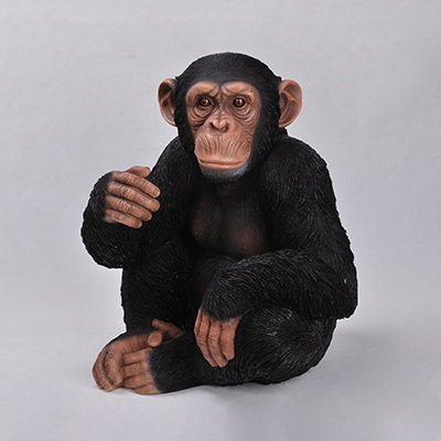 Maymun Biblo | 53 cm - HotAnt