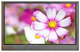 WF43BTIBD0#020 - 4,3 INCH TFT